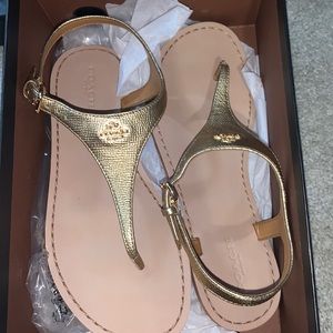 coach sandals, size 6